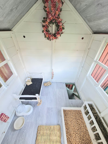 Country Cottage Boarding
