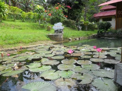 Photos of Ue Datu Cottages