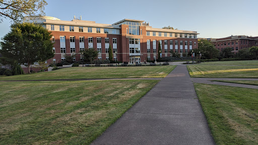 Library Quad - Visual