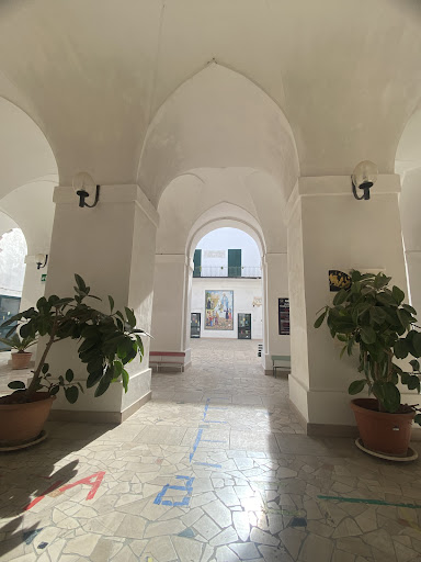 Liceo Docet - Visual