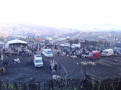 Photos of Souk des animaux السوق الأسبوعي للماشية