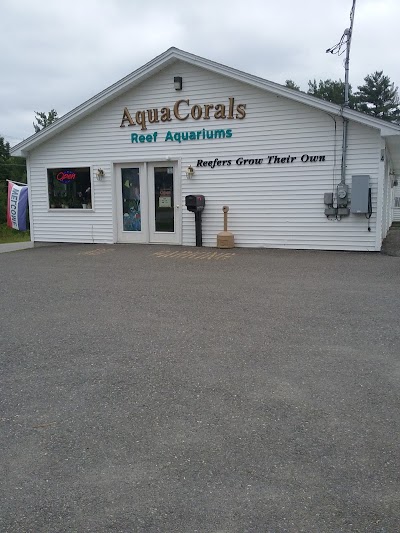 AquaCorals Reef Aquariums