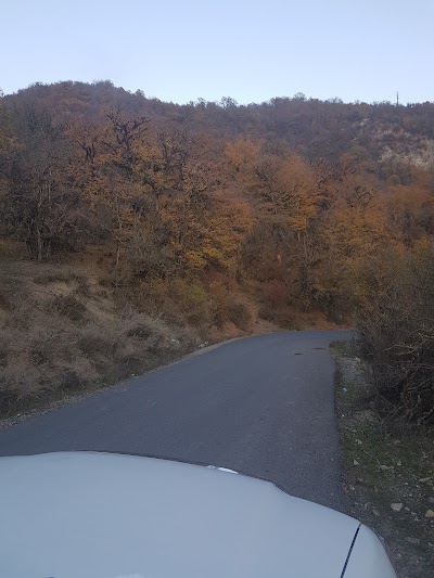 Photos of ایستگاه اول مسیر جنگل پیمایی الیمستان-امازاده قاسم
