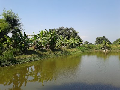 Photos of balai desa sambogunung