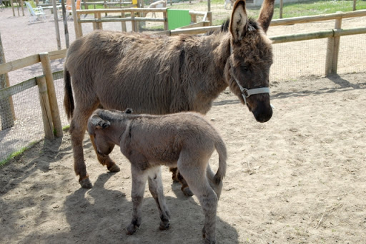 Photo de Ferme de Magné