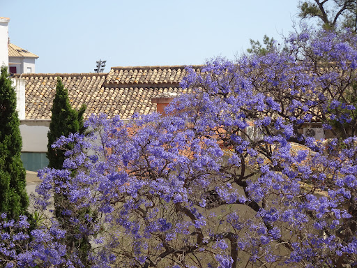 Colegio Carmelites Gallery - Spain