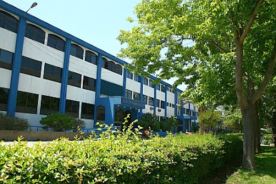 university