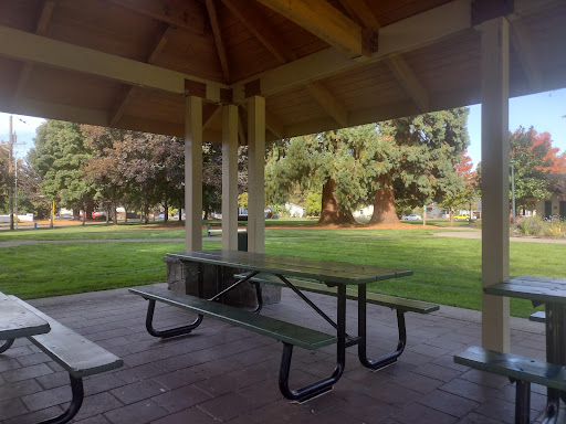 Bagley Park - Visual