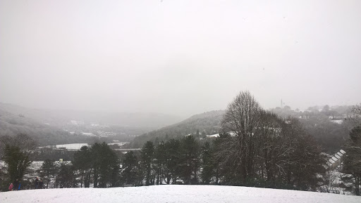 Newbridge - Visual