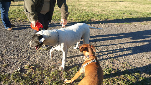 Lithgow Dog Park and Recreation Area - Thumbnail