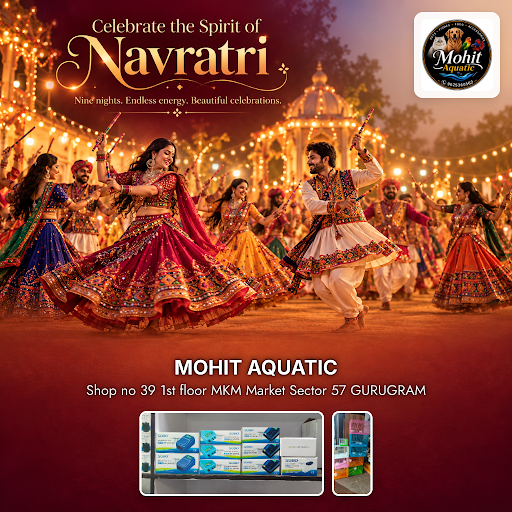 Celebrate Navratri with MOHIT AQUATIC, Gurugram’s best destination for aquascaping solutions, exo… post image