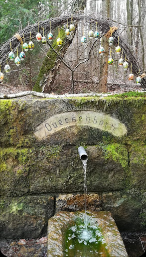 Queckenborn - Visual