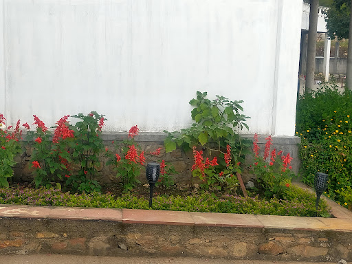 Gallery image 647