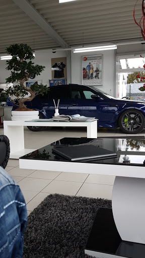 A&N Automobile - Visual