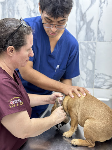 Hospital Veterinario El Caporal San Carlos