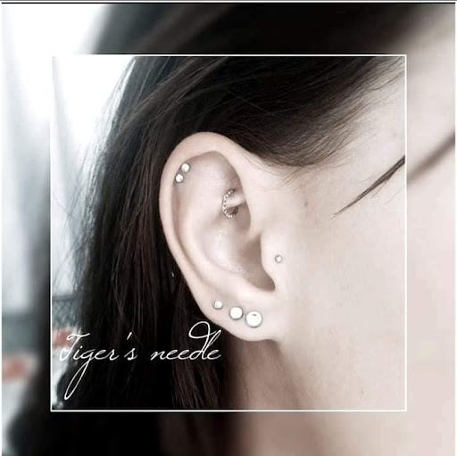 Tiger's needle - Thumbnail