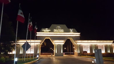 Photos of Palladium