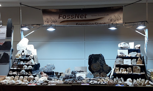 FossNet - Fossilienstore - Thumbnail