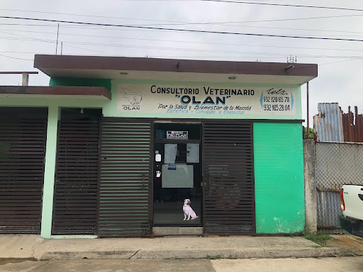 Consultorio Veterinario Olán