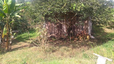 Photos of La T&aacute;ngara alojamiento rural