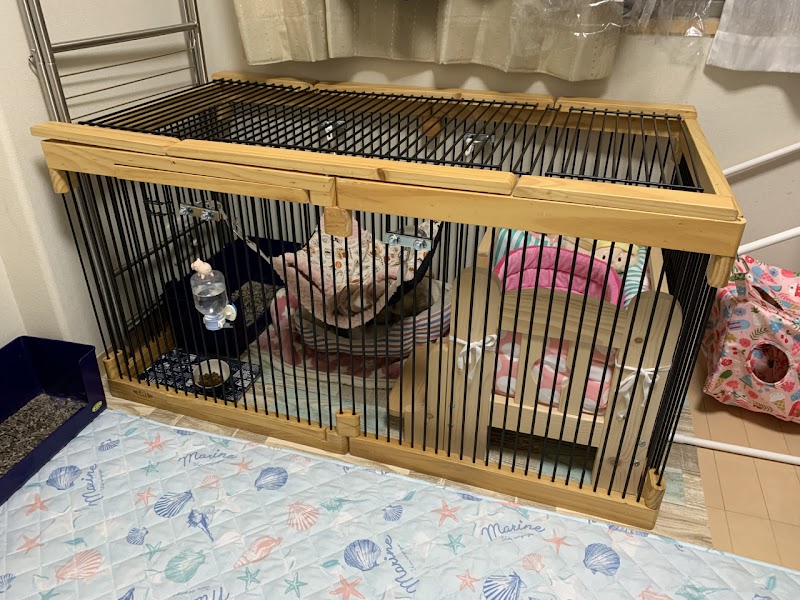 カレンアニマルクリニック