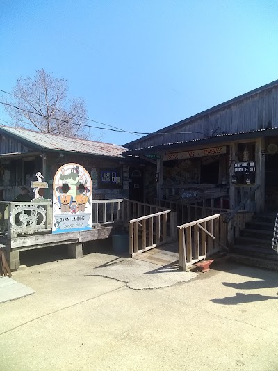 Atchafalaya Basin Landing Airboat Swamp Tours