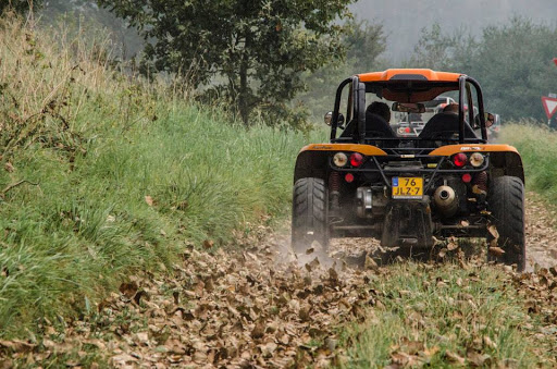 BugRacer.nl - Visual