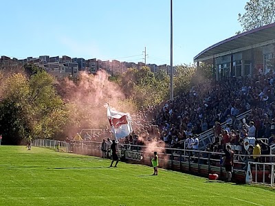 Razorback Field