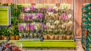 Photo n°19 de Lidl à Lempdes (Supermarché)