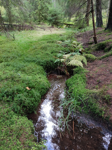 Hähnleinsbrunnen - Visual