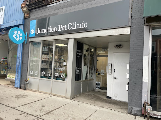 Junction Pet Clinic - Thumbnail