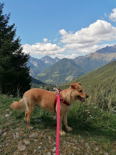 Sentiero delle Malghe - Thumbnail