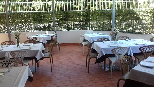 Tondo Verace - Visual