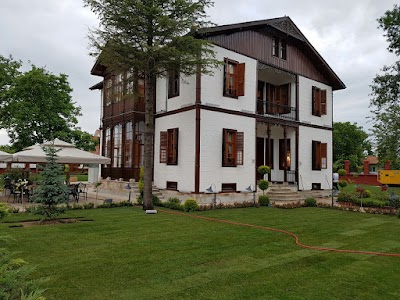 Photos of Tulipa Restaurant