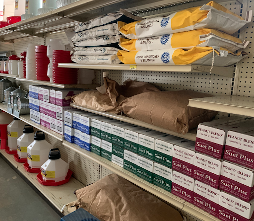 Spring Creek General Store - Thumbnail