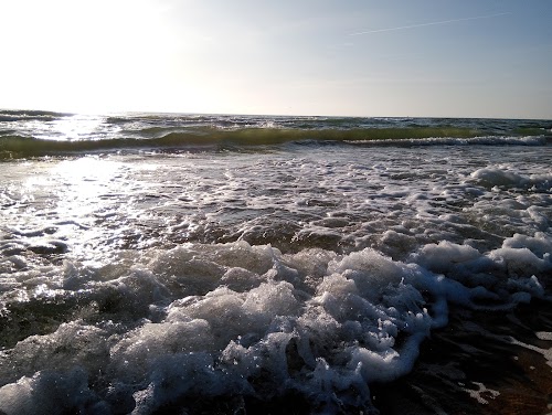 Skulptūra "Govs Matrozis"