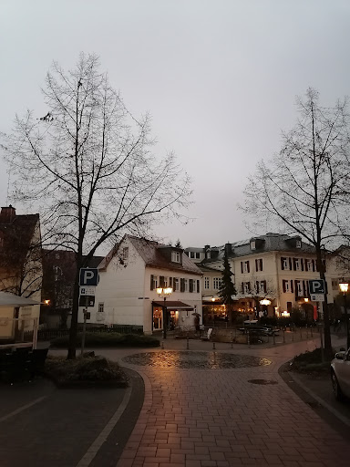 Sauerbrunnen - Visual