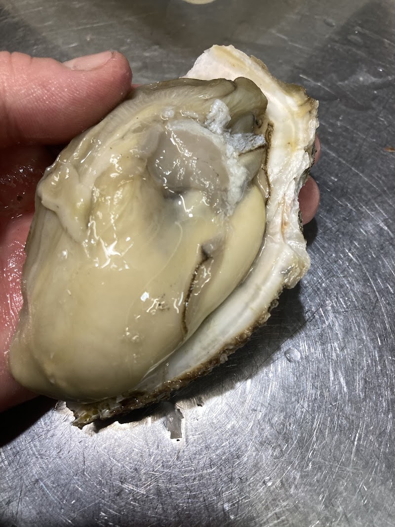 五島列島直送居酒屋 新鮮組