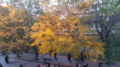 Photos of Ada Life Hotel