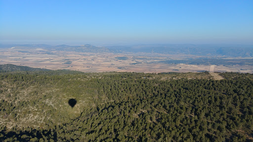 TOTGLOBO - Visual