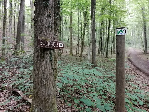 Guckhüll - Visual