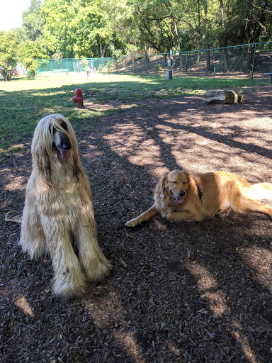 The Catherine and Holden Corzine Memorial Dog Park - Thumbnail