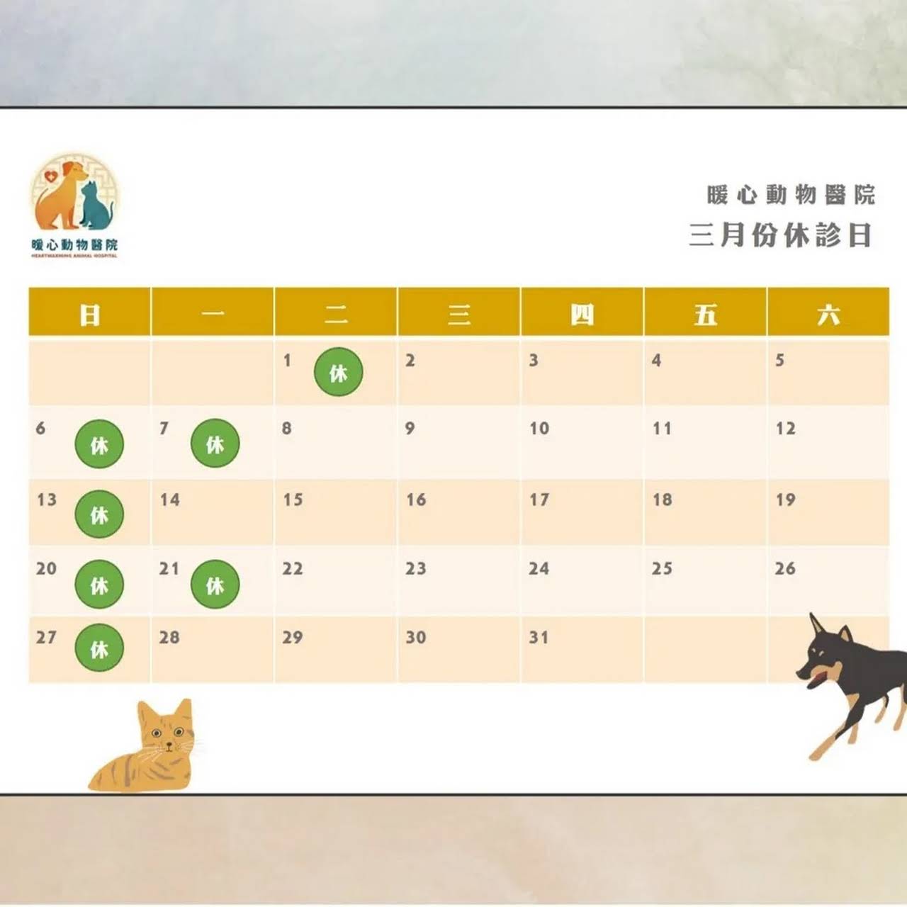 暖心動物醫院 動物醫院
