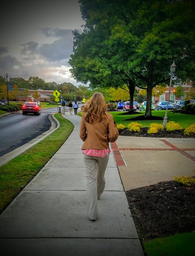 Lee University