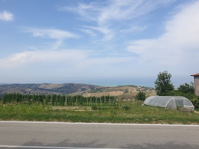 Agricamping Colleverde