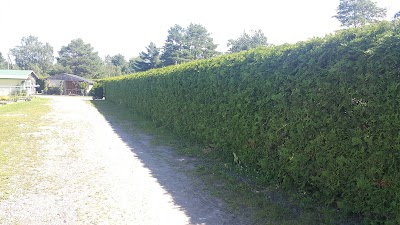 Photos of V&auml;&auml;na Wood School Ltd