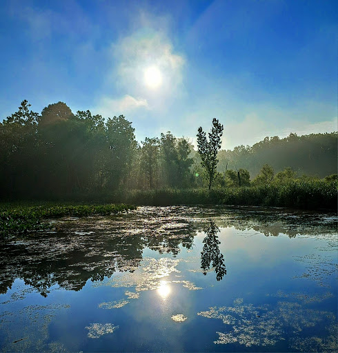 Summit Metro Parks - Thumbnail