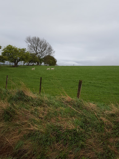 Tindle's Hill - Thumbnail