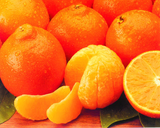 Davidson Citrus Shop, Inc