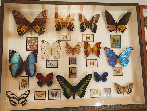 Conca Valley Naturalistic Study Center - Thumbnail